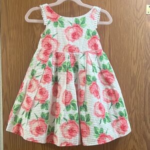 Janie and Jack Textured Pink and Green Rose A-line Sleeveless Dress Girls 2T